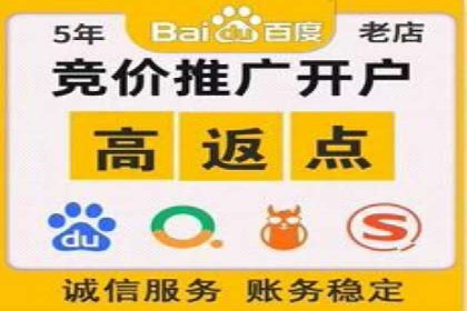 案例解读：SEM推广的秘诀与技巧